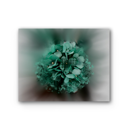 The One Premium Stretched Canvas - Freebohochic